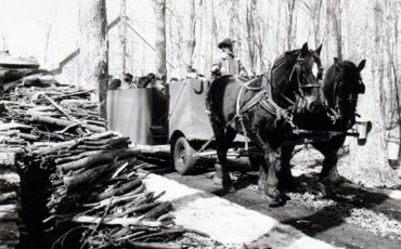 Cabane à sucre, repas, temps des sucres, salle de réception, tire sur la neige, sirop d'érable, eau d'érable, érablière, sucrerie, St-Eustache.